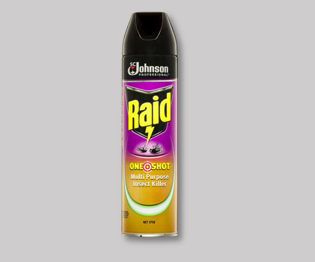 Raid