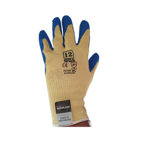 Frontier Splendor Plus Glove P215K Pack of 12