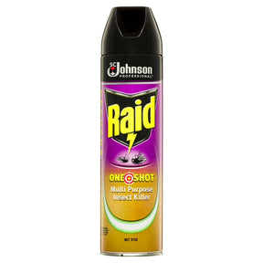 RAID PROFESSIONAL ONE SHOT MULTIPURPOSE INSECT KILLER