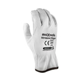 Buy Maxisafe Rigger Gloves 12-Pack | Full-Grain Leather | 1stSafety